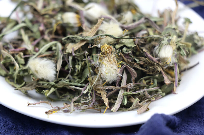 中药材蒲公英500克非整根蒲公英女性蒲公英根新鲜浦公英干