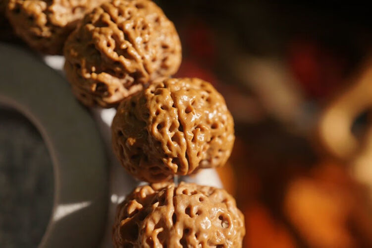 双龙满肉双龙爆肉尼泊尔大金刚菩提子文玩佛珠念珠手串传世5瓣20mm