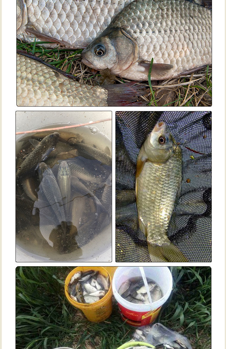 晟帆钓鱼酒米窝料鲫鱼打窝料鱼饵料野钓通杀鲤草青鳊鱼食底窝红虫鱼饵