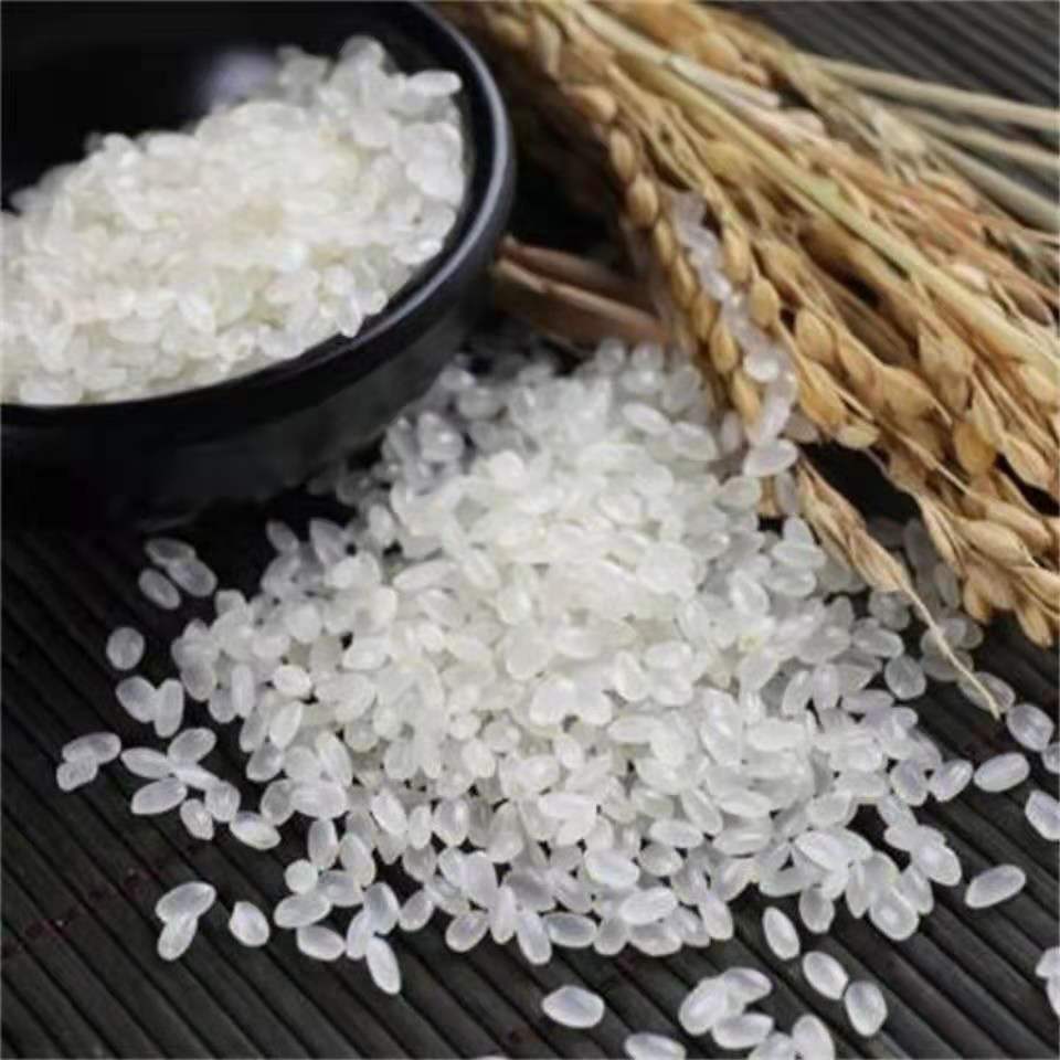 黑龙江现磨宁安响水石板大米5斤10斤 宁安小粒香5斤真空装【图片 价格