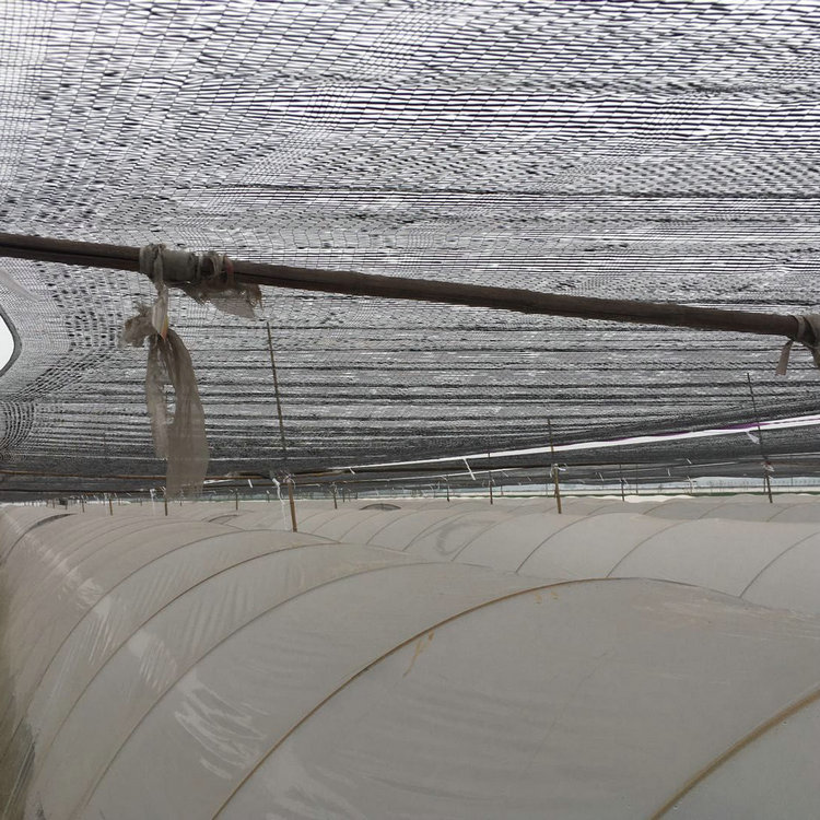 遮阳网三七平针平织蔬菜大棚大姜遮阳网1米宽150米长卷大姜专用遮阳网