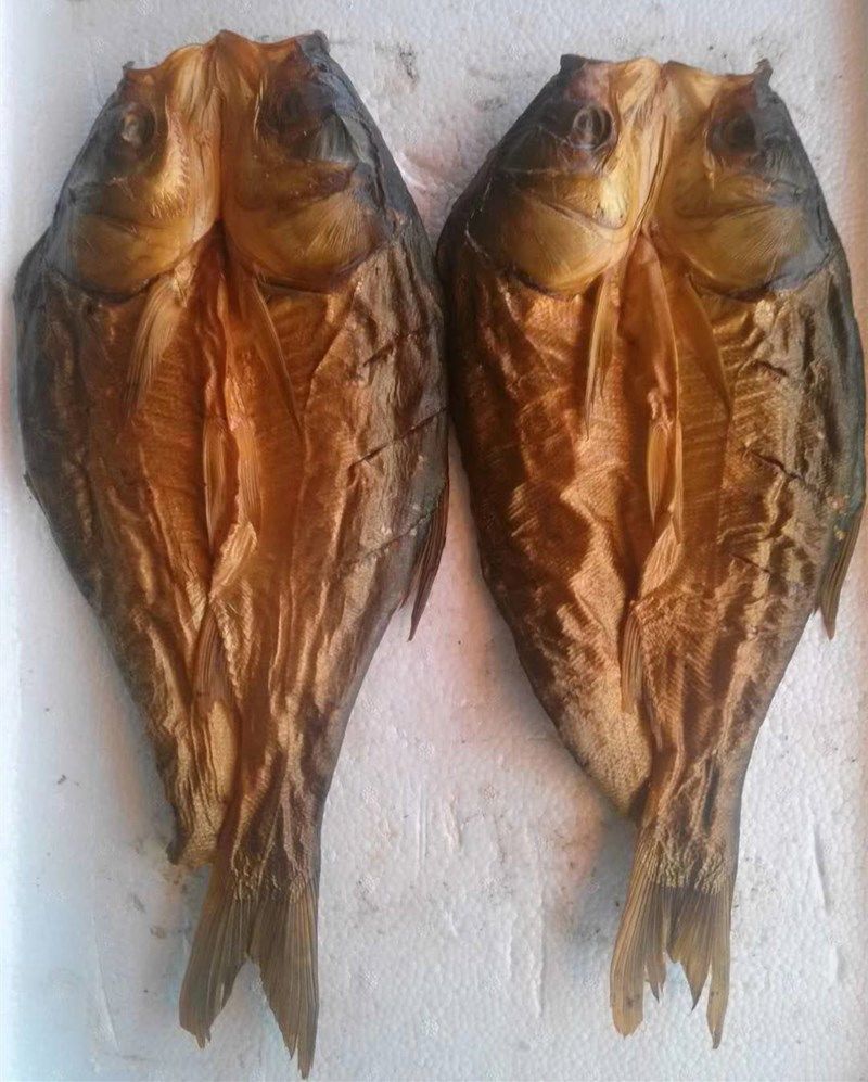 湖南特产烟熏鱼网红整条手撕腊鲢鱼鱼干下酒菜下饭菜腊味湘菜腊鱼 腊