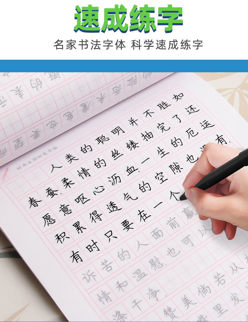 书法练字本成人速成手写印刷体 楷书基础练习 字帖【无其他】【图片