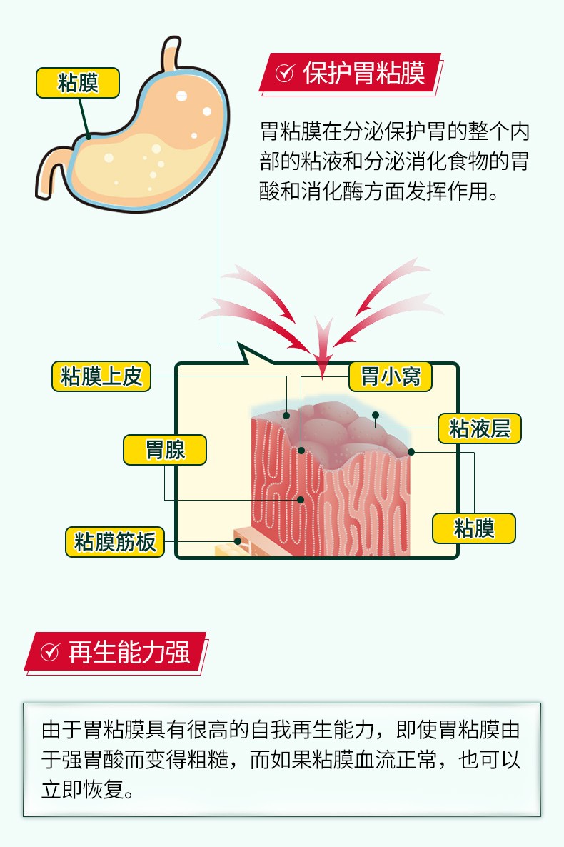 金十字kowa胃仙u胃肠药 胃肠散肠胃药胃散胃酸过多消化不良蚬壳胃散