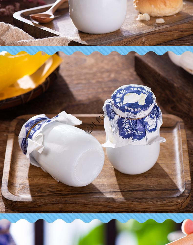 洋酸奶 酸奶老北京风味酸牛奶瓷瓶原味益生菌发酵乳整箱怀旧老酸奶 5