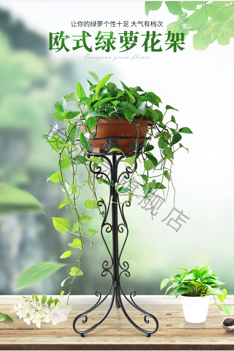埃尔岚绿萝花架子欧式铁艺单个花架客厅阳台落地式室内外折叠组装吊兰