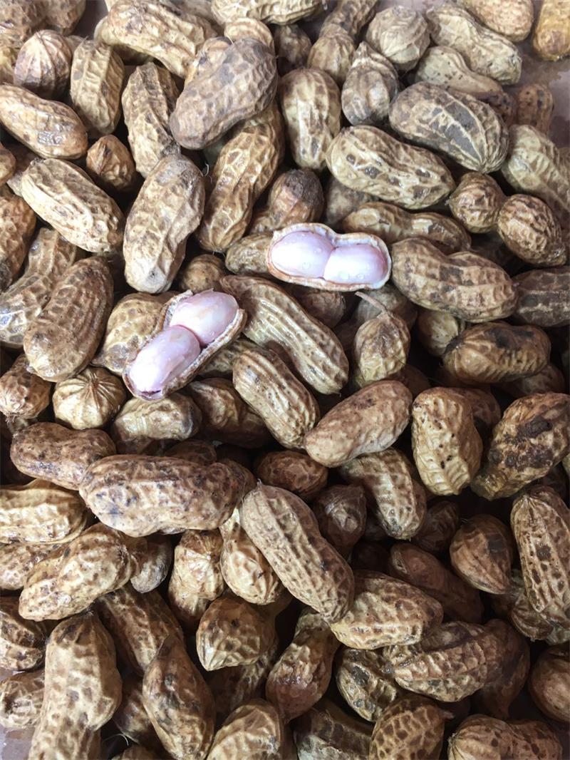 2021年新鲜湿花生现挖现发农家自种带壳生花生粉红皮可水煮 5斤【图片