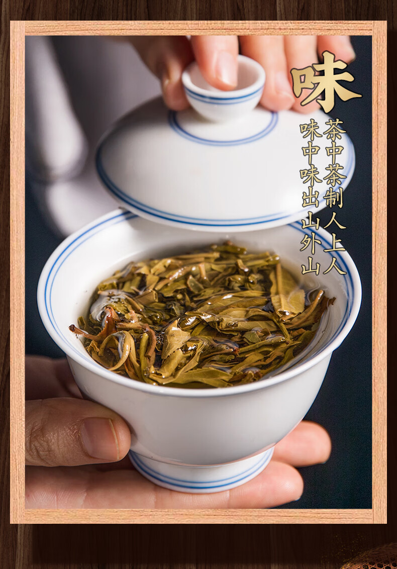 5折 7饼整提购2499g 茶滋味普洱茶老班章银芽古树生茶云南七子饼茶叶