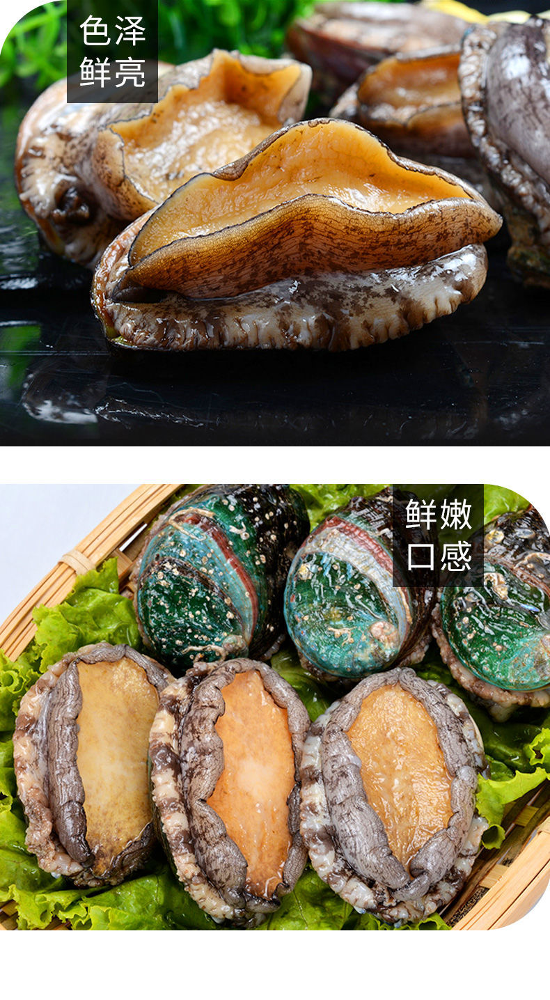 青岛大鲍鱼新鲜冷冻鲜活佛跳墙原料海鲜贝类超大号约63g只纯青岛产