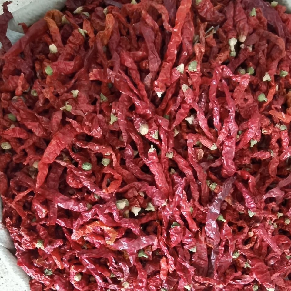 春光岛新疆线椒500g微辣特香大盘鸡辣子鸡米粉椒辣椒手工剪把深红色