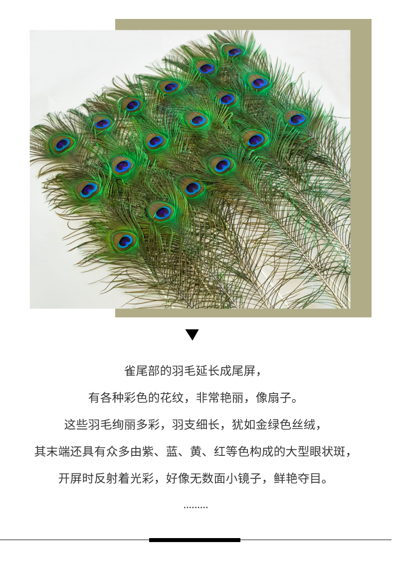 家居饰品摆件孔雀羽毛花瓶客厅摆件工艺品孔雀毛真羽毛孔雀翎尾婚庆