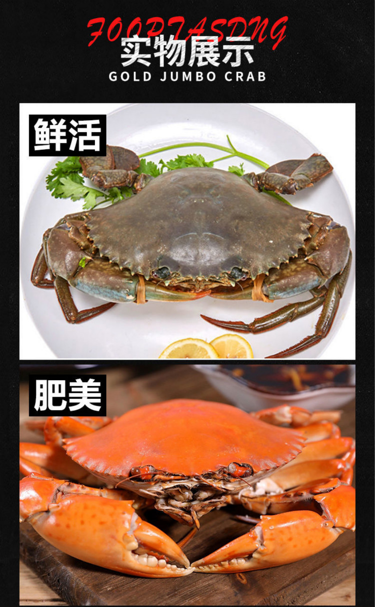 流连湾鲜活特大青蟹大螃蟹红膏蟹海蟹大肉蟹红膏酱母蟹活物海鲜水产