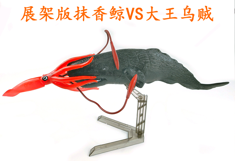 大王烏賊模型大王烏賊抹香鯨模型魷章魚魷魚八爪魚模型巨型槍酸漿海洋