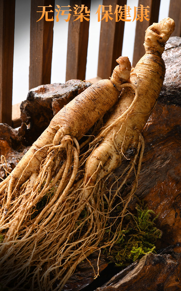 人参新鲜人参现挖现卖带土长白山特大人参林下参保鲜参泡酒912支250克