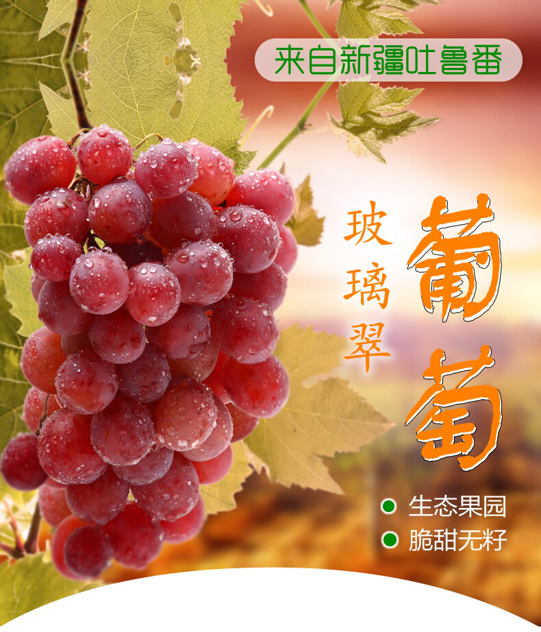 顺丰冷链保鲜新疆玻璃脆翠葡萄4斤新鲜应季水果吐鲁番无籽红提子彩箱