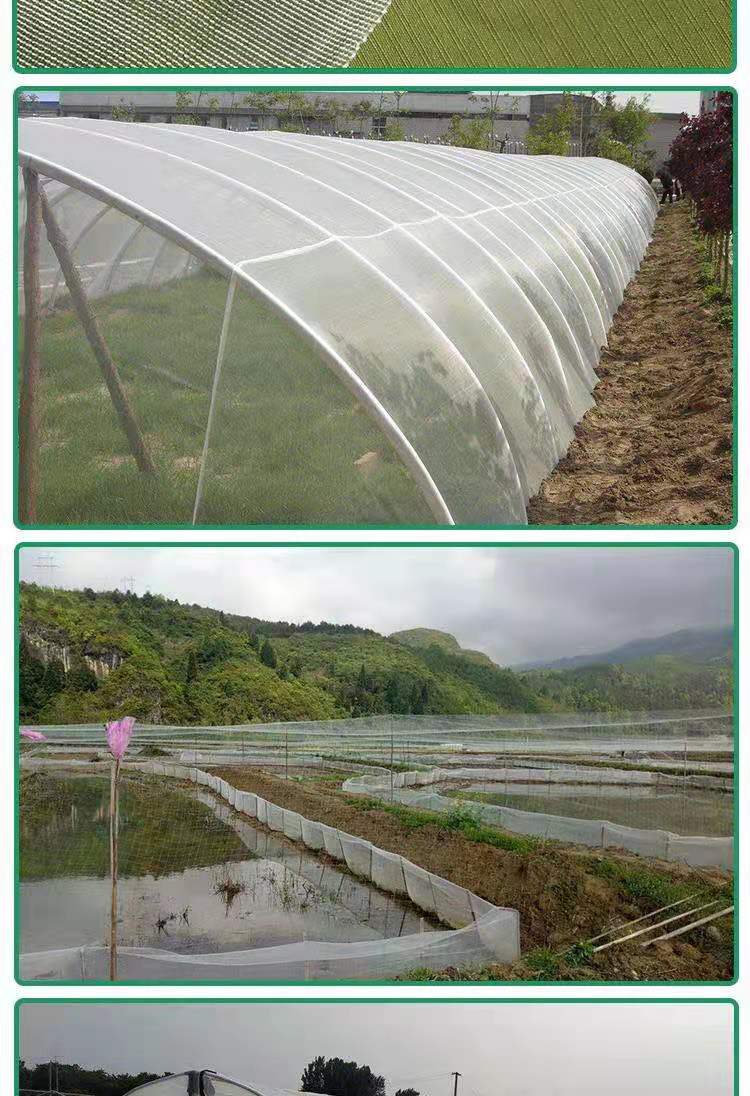 猪场专用防蚊网养猪场猪圈栏养殖场专用防蚊网大棚用防虫网加厚抗老化