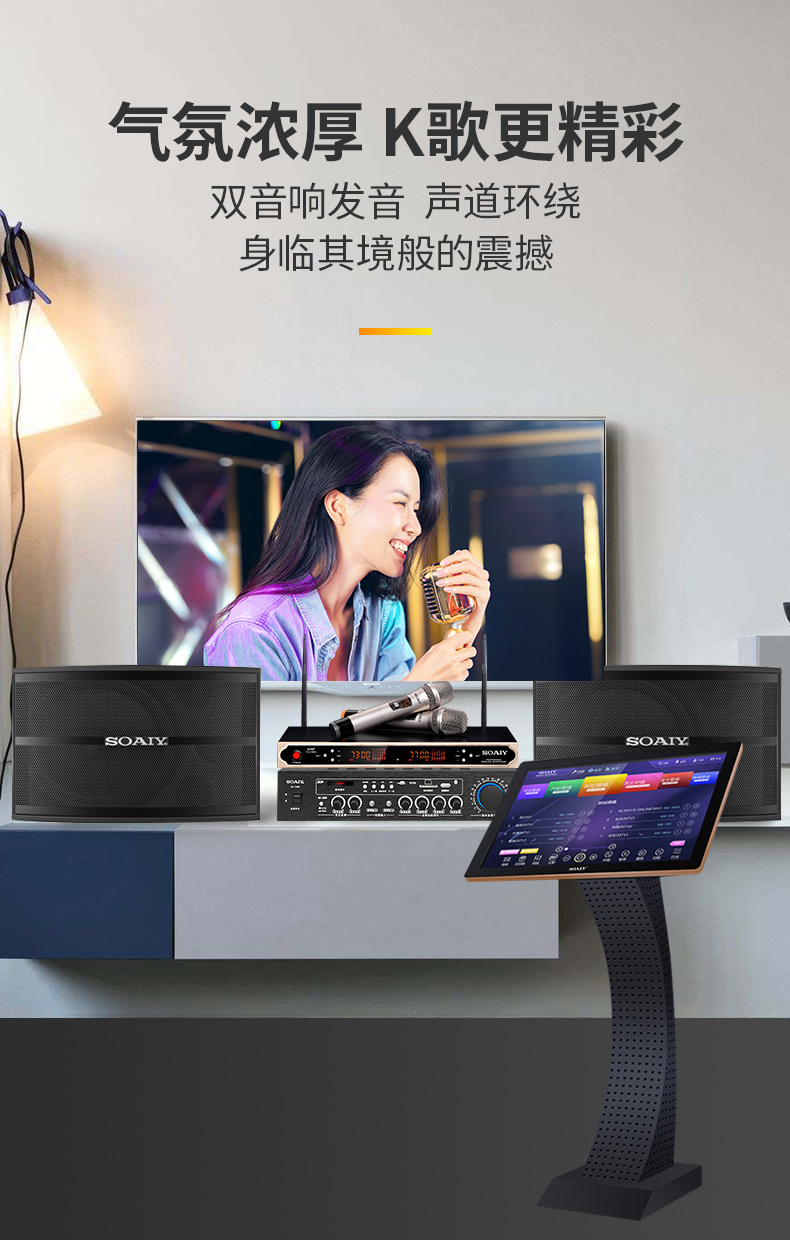 索爱家庭影院ktv音响套装新款家用商用会议设备卡拉ok功放机客厅10吋
