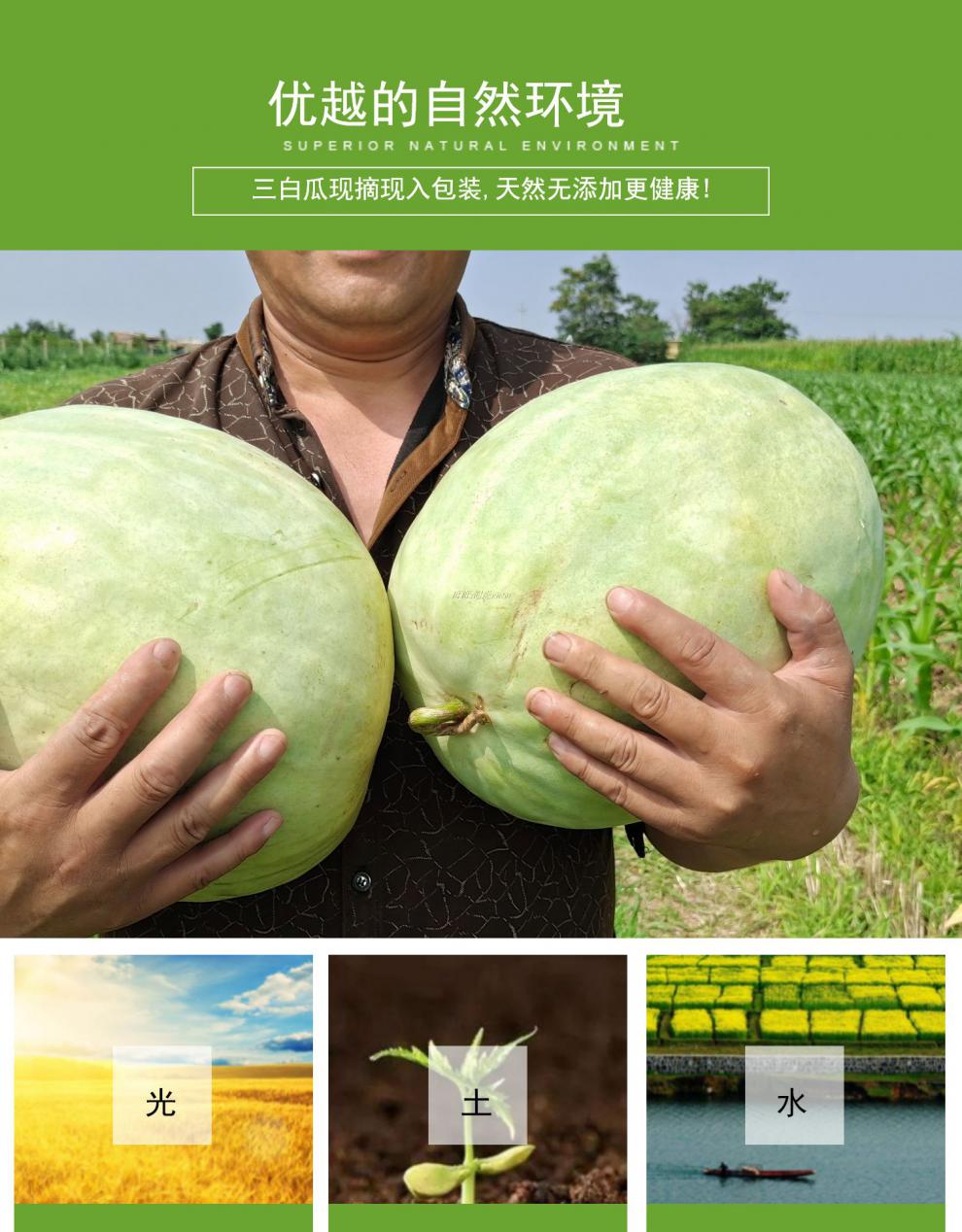 更多参数>>类别:西瓜品种:黑美人西瓜货号:264635商品毛重:1.