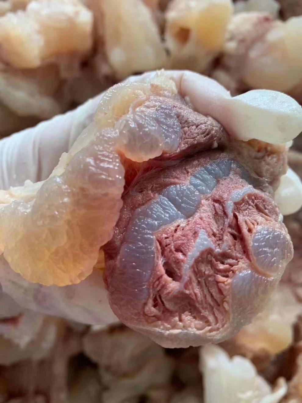 熟牛筋筋头巴脑牛蹄筋富含无汤水净重 3斤熟牛头皮富含【图片 价格