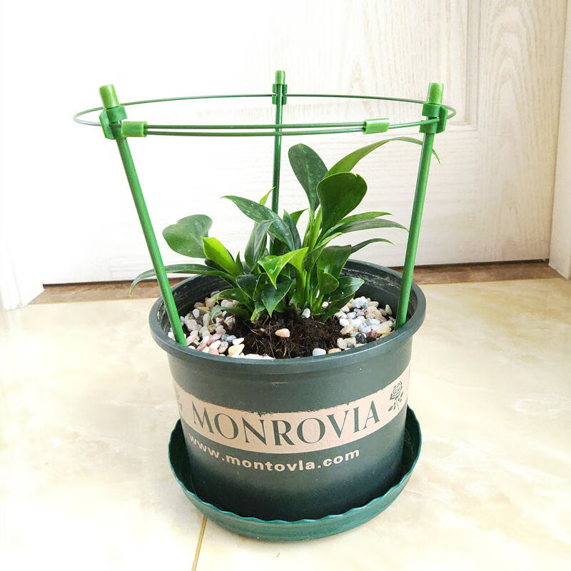 蟹爪兰支架兰花架芦荟支撑杆室内植物花架子吊兰单层花支架花架1个