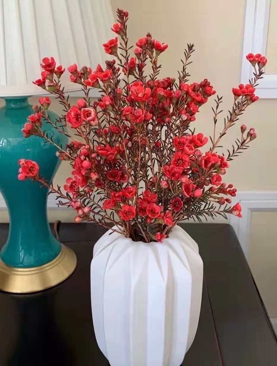 澳洲腊梅鲜花插花水养平头满天星干花花束云南直销基地居家办公室