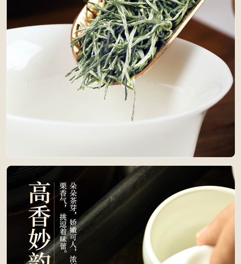 正宗信阳原产毛尖2022新茶特级aa绿茶明前嫩芽毛尖茶散装茶叶500g