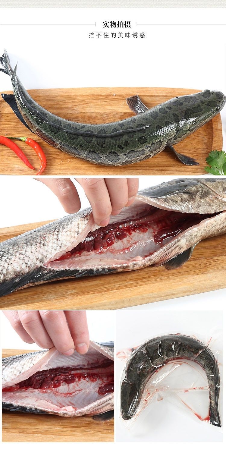黑鱼鲜活乌鱼现杀活体淡水黑鱼炖汤术后滋补5斤黑鱼
