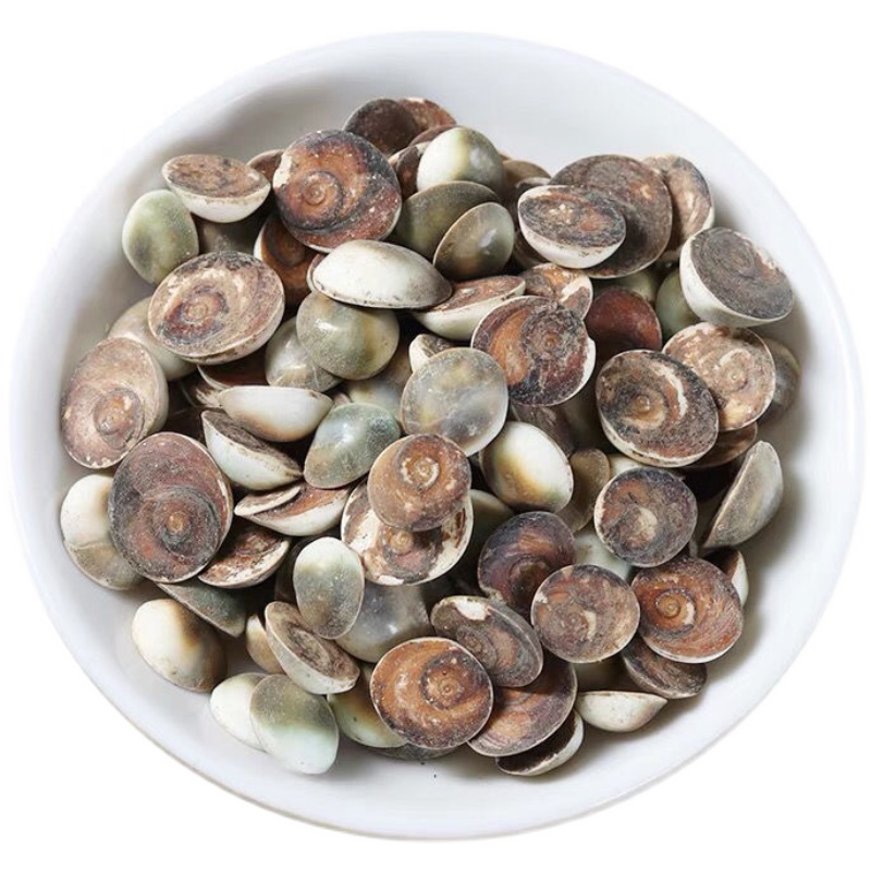 同仁堂甲香 中药材500g水云母 太极石 催生子海月