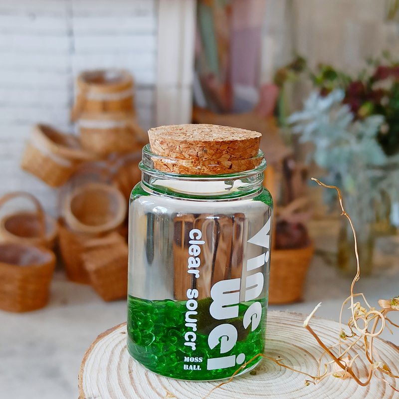 海藻球能量瓶微景观室内水培植物玻璃瓶创意迷你盆栽球藻水生绿植红色