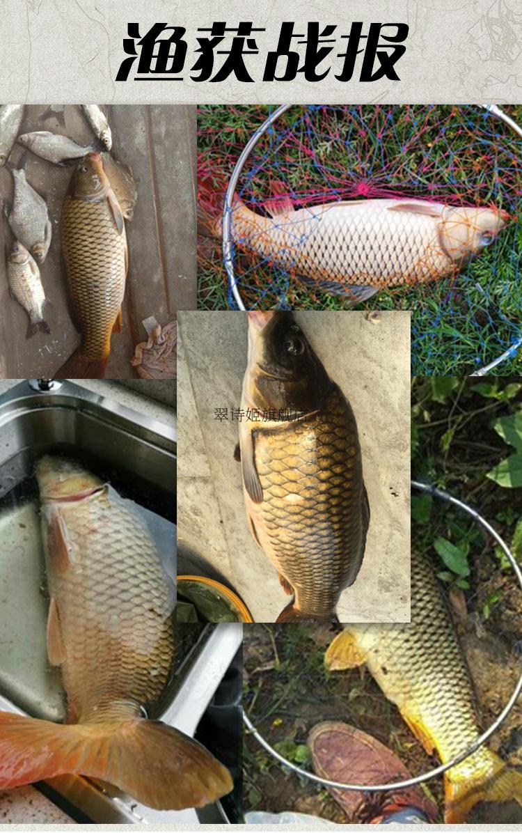 特诺龙崎二代三定位不剪线前打竿轻硬细鱼竿高碳谷麦竿28调手车竿 4.