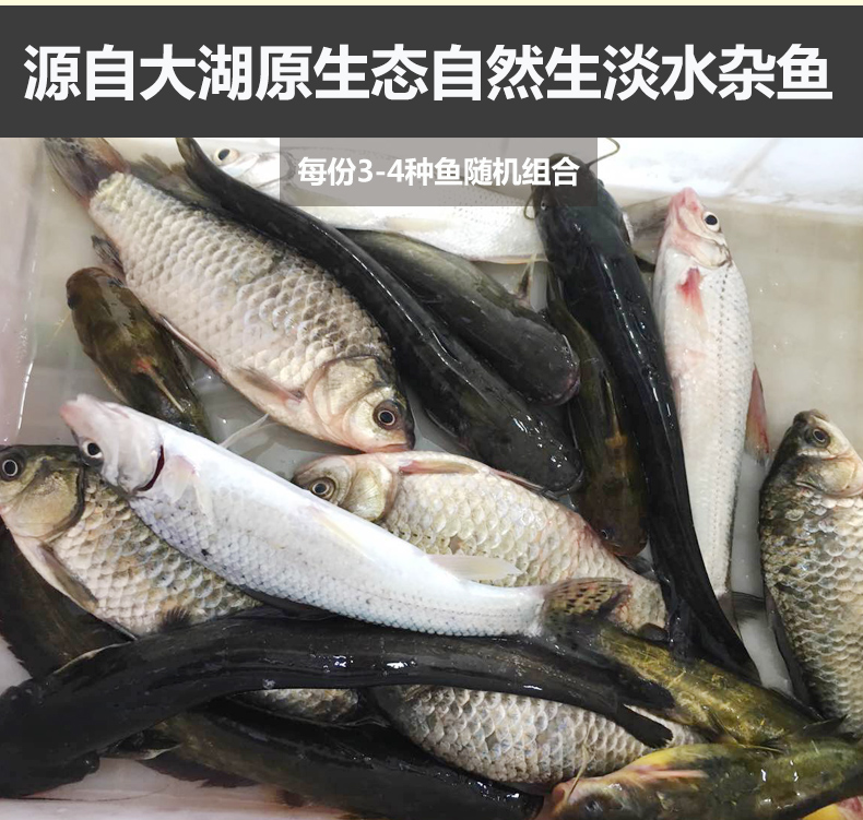 好物推荐鲜美惊苏北淡水湖小杂鱼河鲜鱼昂刺鱼新鲜淡水鱼活体速冻红烧