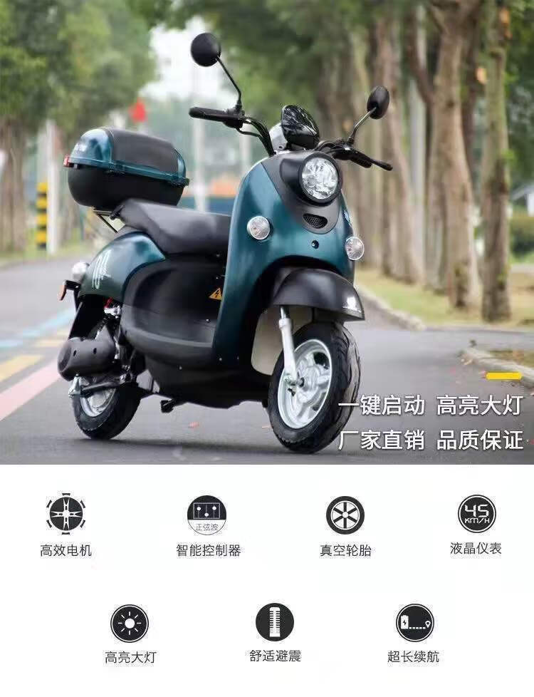 雅迪爱玛同款大型新款小龟王电动车电瓶车男女式代步双鼓踏板车高速