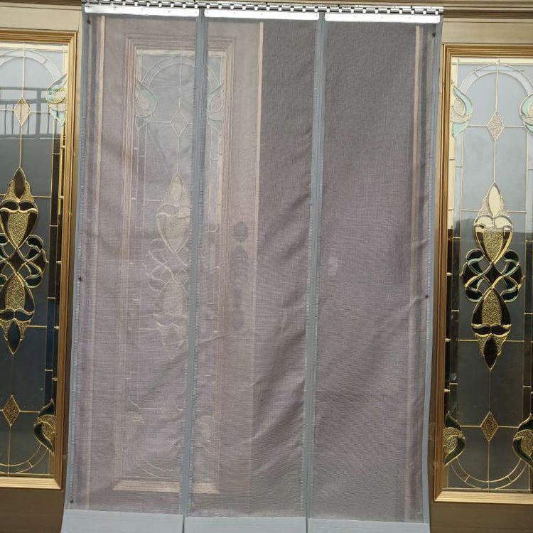 抖音网红门帘防蚊家用卧室外门免打孔农村自吸加密挡苍蝇夏季磁吸纱网