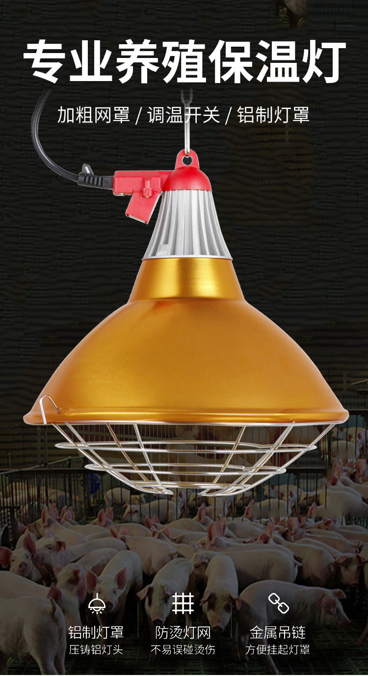 灯家禽取暖/养殖设备猪场专用250瓦灯泡 大号保温灯罩【含灯】【图片