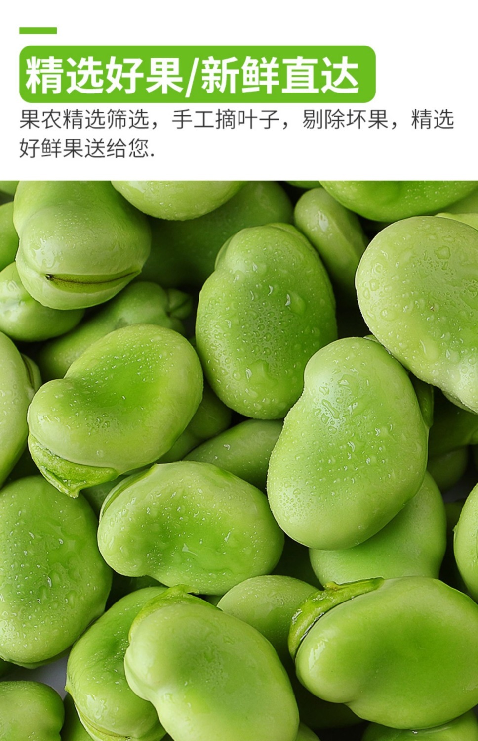 新鲜胡豆鲜嫩蚕豆佛豆青豆嫩米豌豆当季新鲜蔬菜9510斤优选新鲜