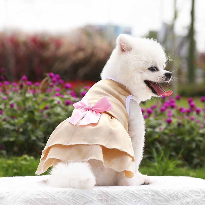 hkpz狗狗裙子蝴蝶结礼服婚纱春夏秋新款格子条纹宠物衣服用品230款裙