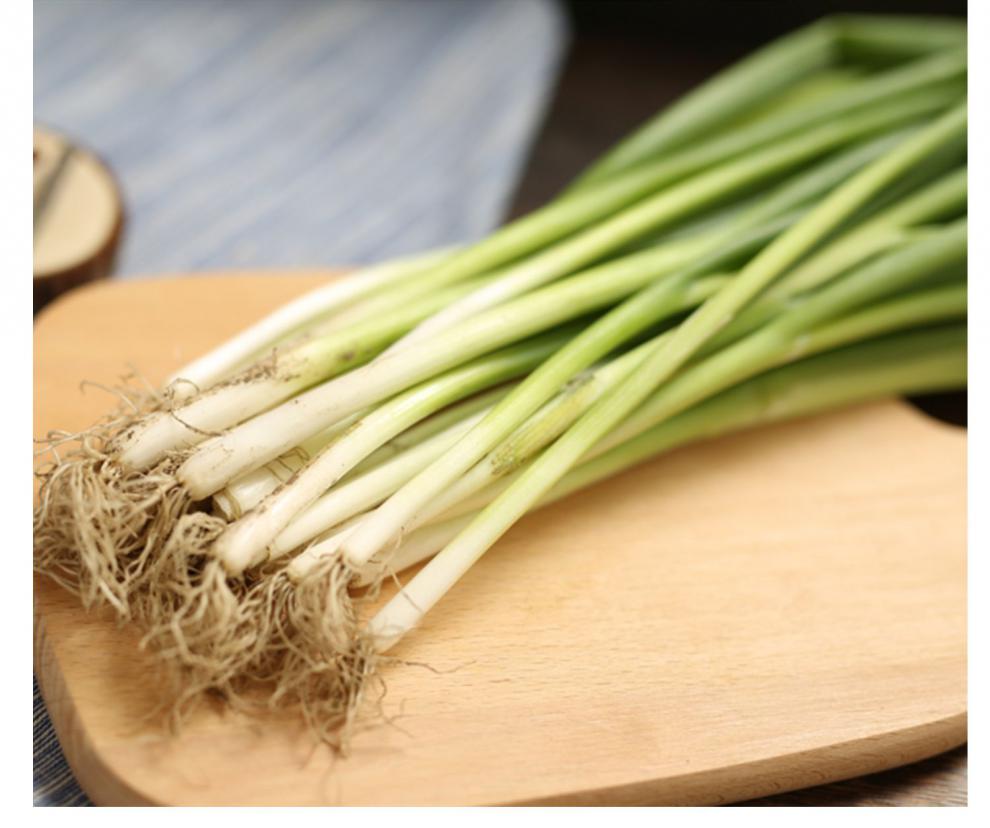 东北小葱新鲜 农家自种现摘蔬菜嫩发芽葱白露葱香葱蘸酱菜 2000g