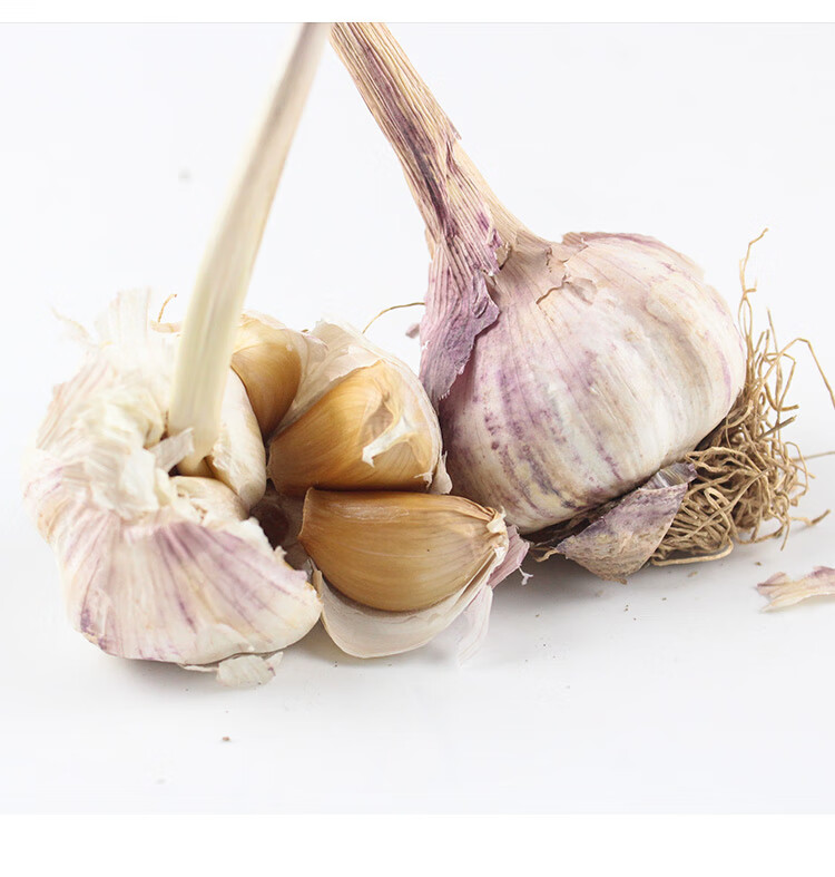 大蒜种子种籽长蒜苔头蒜种蒜苗红皮本地紫皮干蒜老品种四季蒜子 5000g