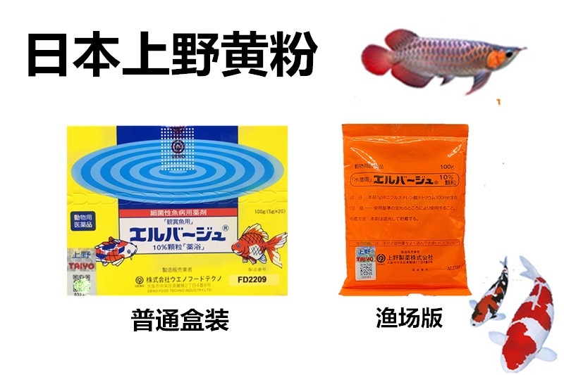 taiyo日本上野黄粉鱼粉水族用品观赏鱼金鱼药粉龙鱼锦鲤鹦鹉白点烂肉