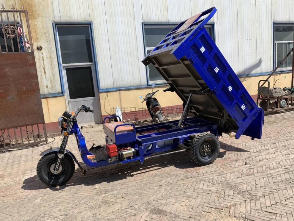 电动三轮车拉货货车载重王大功率环卫车山区爬坡水电瓶车35米3000瓦