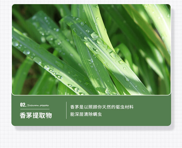 af9078e2785b86be.jpg