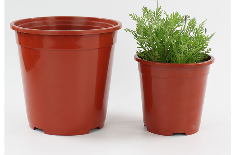 soumiety加厚种植育苗盆塑料控根花盆育苗花盆多肉花盆花卉绿植盆20个