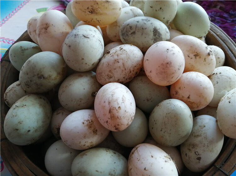 东北农村散养笨鸭蛋新鲜黑龙江农家土鸭蛋特产白壳绿壳健康华海春 60