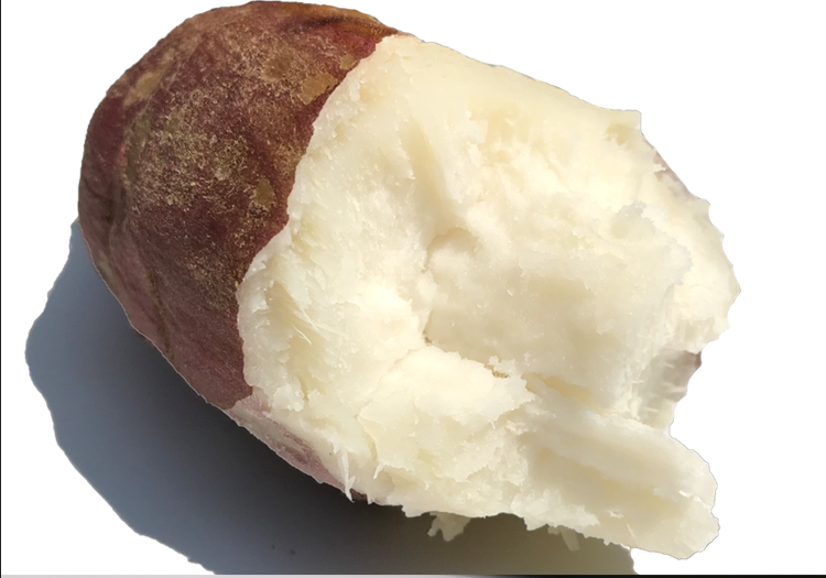 2021年新鲜栗子香白心红薯板栗白薯爆皮番薯白瓤地瓜非红心红薯白心