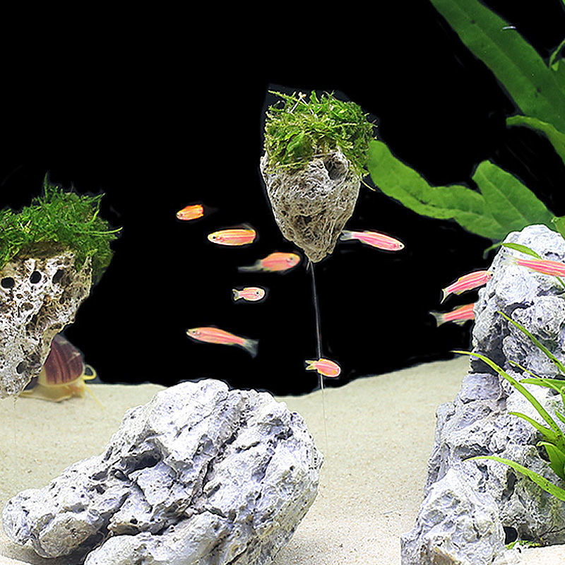 水族装饰悬浮石鱼缸造景天然石头阿凡达轻浮石天然莫斯水草悬空石24cm