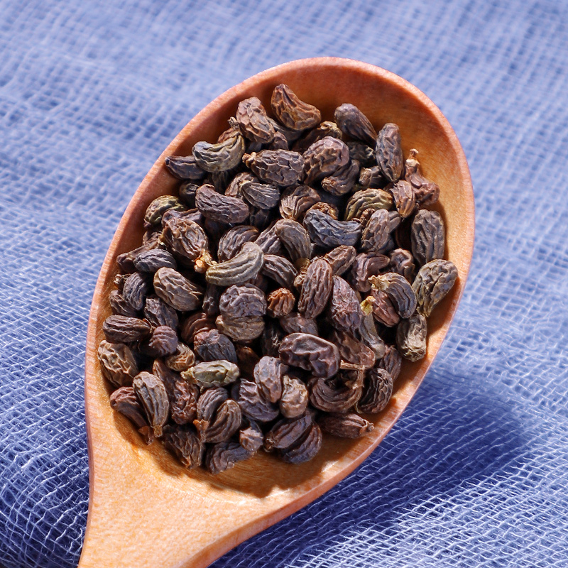 同仁堂女贞子肉苁蓉中药500g泡水泡茶男性用中药材野生特级肉苁蓉250