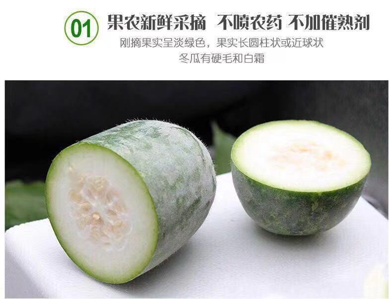 农家自种新鲜小冬瓜迷你挂霜小冬瓜新鲜蔬菜毛节瓜水果冬瓜批发45斤