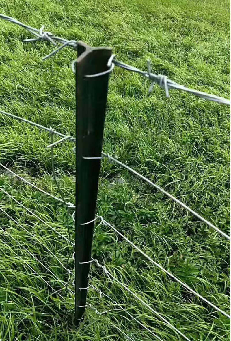 园艺铁丝网围栏钢丝刺绳防锈刺铁丝铁蒺藜隔离护栏网围墙防爬刺防盗刺