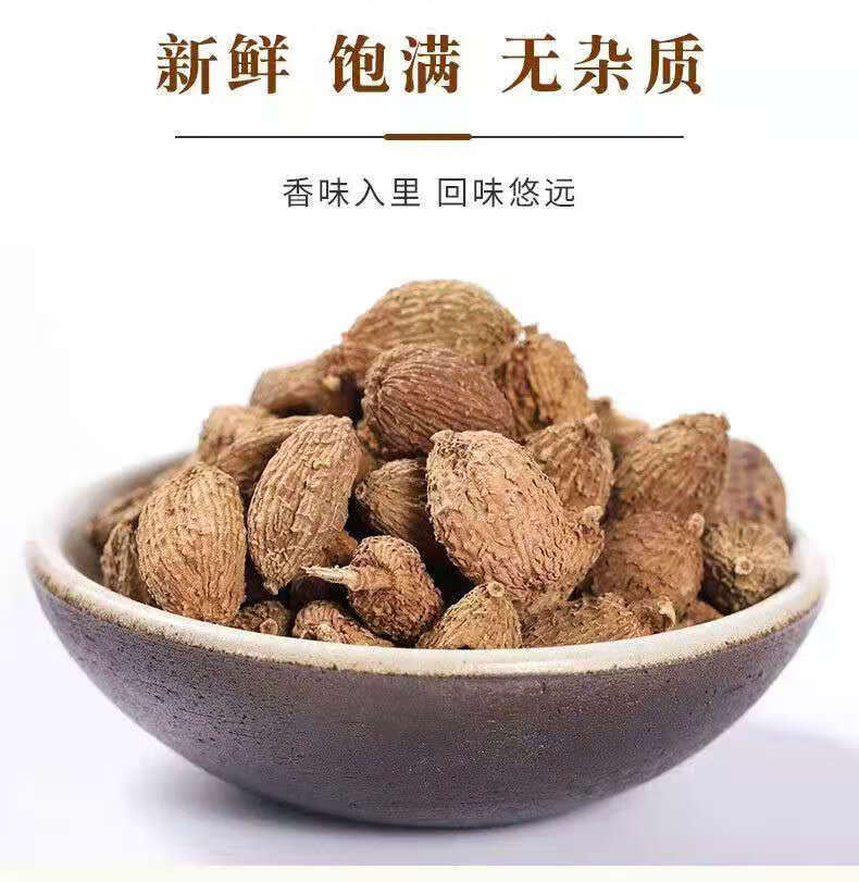 砂仁特级海南砂仁缩砂仁饱满大果传统中草药原材料满1000g