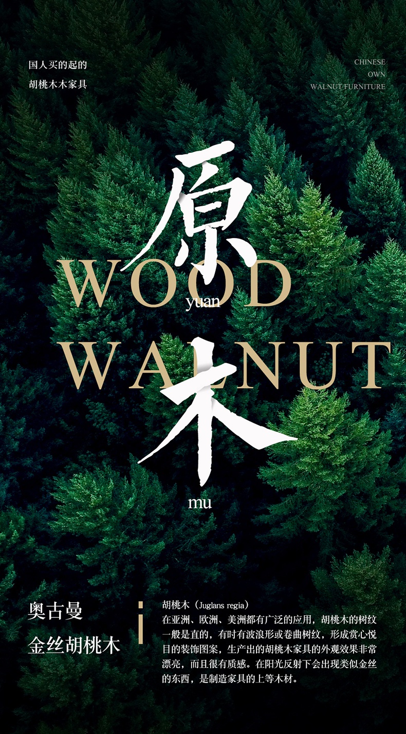 卧森 新中式胡桃木实木伸缩电视柜现代简约客厅家具轻奢岩板茶几组合 电视柜 组装